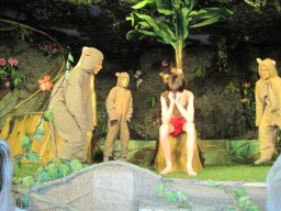 IMG_0951