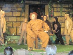 IMG_0989