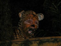 IMG_4807b