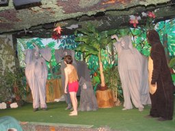 IMG_3747-1200