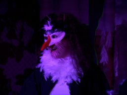 IMG_4033-1200