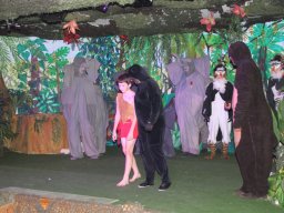 IMG_4073-1200